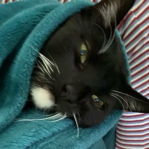 Meet your Posher, Arik